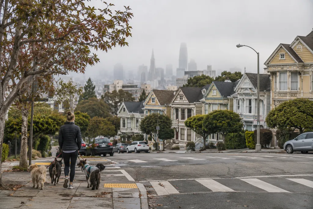 A person walks three dogs on a sidewalk with painted houses in the background.